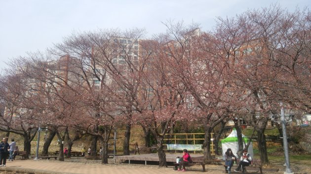 慶和駅の風景